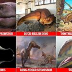 51919249 0 image a 1 1639743146784 تعرف على أكثر الديناصورات غرابةً وروعةً والتي تم اكتشافها في عام 2021! مجلة نقطة العلمية