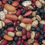 120404044606 superfoods variety beans horizontal large gallery نظام غذائي صحي هو طريقك لعمر أطول وحياة أفضل! مجلة نقطة العلمية