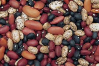 120404044606 superfoods variety beans horizontal large gallery نظام غذائي صحي هو طريقك لعمر أطول وحياة أفضل! مجلة نقطة العلمية