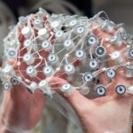 caafadd5fc378e66398c9db7b49b7c95 هذا ما يحدث في دماغ الشخص أثناء الاحتضار! مجلة نقطة العلمية