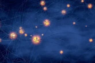 1800x1200 medical illustration neuron brain synapse blue thought 01 other حصاد الأعضاء: الصين تستعين بجراحين لإزالة أعضاء من سجناء أحياء! مجلة نقطة العلمية