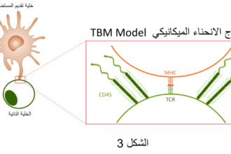 Screen Shot 2022 04 13 at 12.14.19 PM هل تتحكم قوى الفيزياء والميكانيك بمناعة الانسان؟ نظرة عن قرب مجلة نقطة العلمية