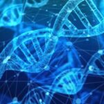 first strong genetic risk factor for bipolar disorder found 360473 1280x720 1 اكتشاف أول عامل خطر وراثي قوي للاضطراب ثنائي القطب مجلة نقطة العلمية