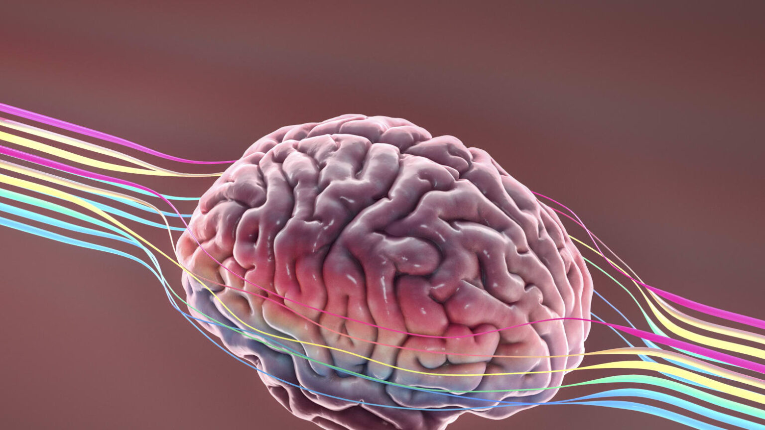 GettyImages 1130537061 kh8w8r عقار فموي قد يصلح الضرر الدماغي الناجم عن مرض الزهايمر مجلة نقطة العلمية