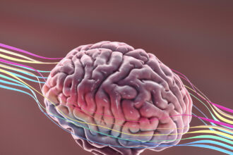 GettyImages 1130537061 kh8w8r عقار فموي قد يصلح الضرر الدماغي الناجم عن مرض الزهايمر مجلة نقطة العلمية