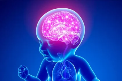 Infant Baby Brain Illustration 777x518 1 اكتشاف مرض وراثي جديد مروع يبطئ نمو دماغ الأطفال مجلة نقطة العلمية