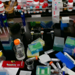 Screen Shot 2022 07 31 at 1.12.45 PM كيف يتم تحكيم ونشر الأبحاث العلمية؟ من الألف إلى الياء مجلة نقطة العلمية