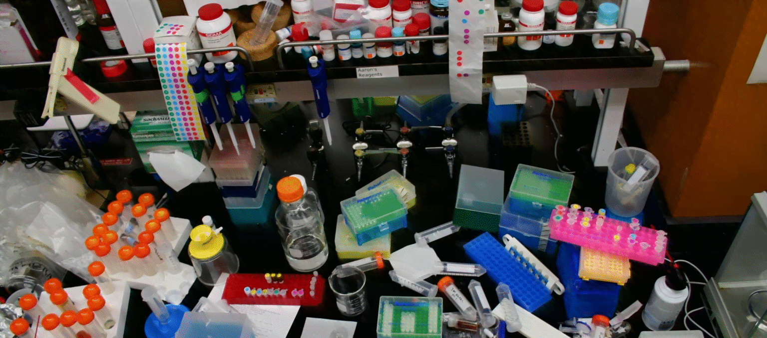 Screen Shot 2022 07 31 at 1.12.45 PM كيف يتم تحكيم ونشر الأبحاث العلمية؟ من الألف إلى الياء مجلة نقطة العلمية