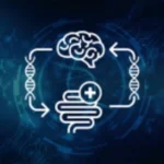 alzheimers gut disease neurosicence تأكيد الارتباط الجيني بين مرض الزهايمر واضطرابات الأمعاء مجلة نقطة العلمية