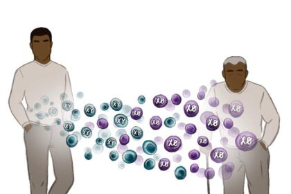 male sex chromosome death neurosinces فقدان كروموسوم "واي" يزيد خطر أمراض القلب عند الرجال مع تقدم العمر مجلة نقطة العلمية