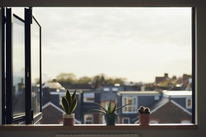 three house plants on window sill in summer barton لماذا نحتاج لتهوية المنزل كل يوم؟ مجلة نقطة العلمية