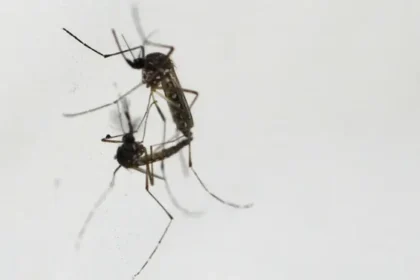 3500 تفاقم مجموعة واسعة من الأمراض البشرية بسبب تغير المناخ مجلة نقطة العلمية