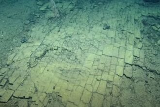 YellowBrickRoadSeenByNautilus بوابة إلى أطلانتس الأسطورية؟ اكتشاف غامض في قاع المحيط الهادئ مجلة نقطة العلمية