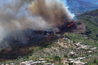 حرائق الغابات في سوريا