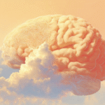 استيقاظ الدماغ