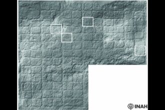 nok6amystery mayan الحاكم الغامض للمايا لم يكن ملكا مجلة نقطة العلمية