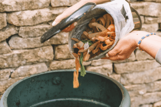 nok6afood scraps مخلفات الطعام قد تكون وقود طائرات المستقبل مجلة نقطة العلمية