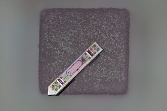 nok6athis brain رقاقة دماغية أصغر من حبة الأرز تحدث ثورة طبية مجلة نقطة العلمية