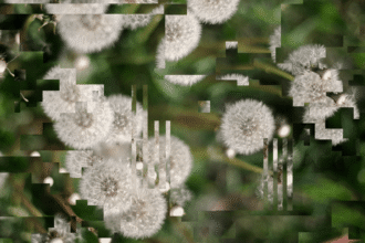 nok6awhy we البشرية على الأرجح ليست جزءا من محاكاة حاسوبية مجلة نقطة العلمية