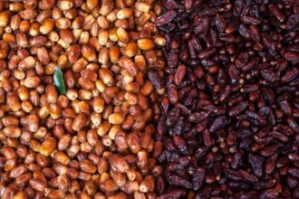 36609 لماذا نبدأ الإفطار بالتمر؟ التفسير العلمي لكيفية استعادة الجسم توازنه بعد الصيام مجلة نقطة العلمية