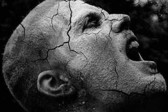 joerge 491224 large صرخة ألم مجلة نقطة العلمية