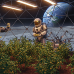 nok6a علماء ينجحون في حصاد الحمص على إنجاز تاريخي في الزراعة الفضائية: نجاح استزراع وحصاد الحمص في تربة قمرية مجلة نقطة العلمية