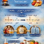 05c856cd 9db1 4de3 a409 eb483b411372 الكيمياء في أبهى صورها: الاسترة وتطبيقاتها في الحياة والصناعة مجلة نقطة العلمية