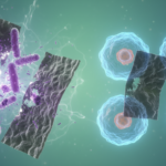 nok6a علماء يكشفون كيف يدمر أكسيد ال علماء يكشفون كيف يدمر أكسيد الجرافين البكتيريا الضارة مع ترك الخلايا البشرية سليمة مجلة نقطة العلمية