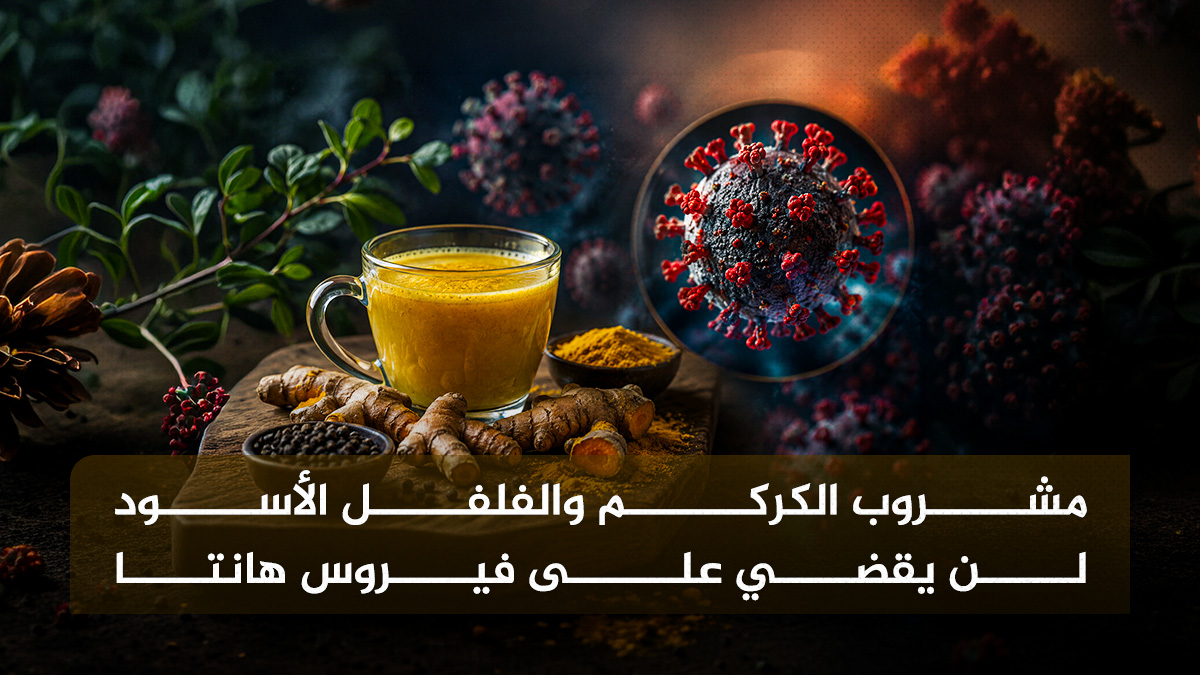 هانتا والكركم  مشروب الكركم والفلفل الأسود لن يقضي على فيروس هانتا مجلة نقطة العلمية