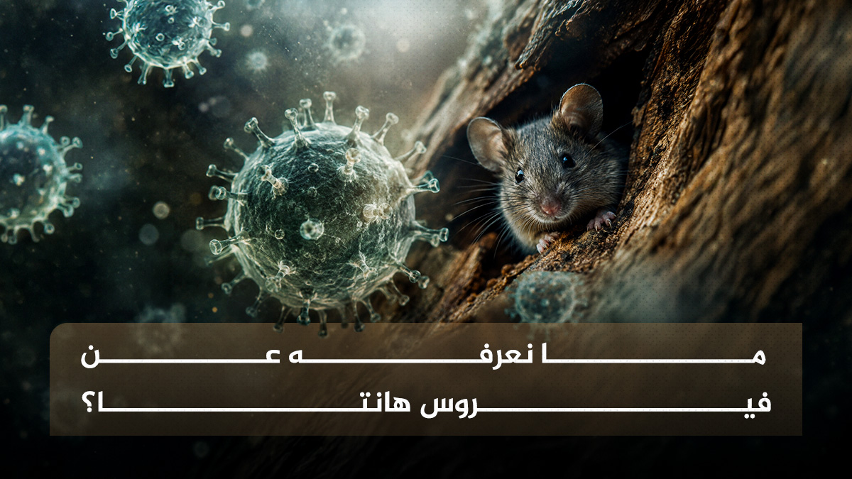 هانتا  ما نعرفه عن فيروس هانتا؟ مجلة نقطة العلمية