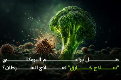 البروكلي  هل براعم البروكلي "سلاح خارق" لعلاج السرطان؟ مجلة نقطة العلمية