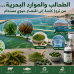 e70eb8bf 9eaf 4891 9176 803bb7bd7ce5 الطحالب والموارد البحرية… من ثروةٍ كامنة إلى اقتصادٍ حيوي مستدام مجلة نقطة العلمية